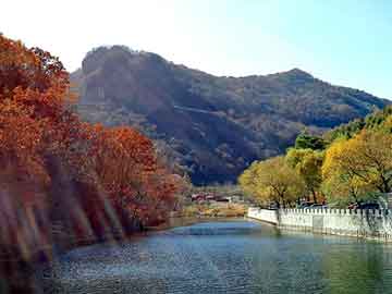 新澳天天开奖资料大全旅游团，三毛妮